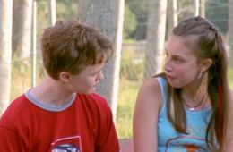 Коалы не виноваты