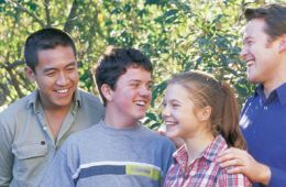 Коалы не виноваты