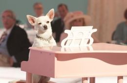 Крошка из Беверли-Хиллз 2