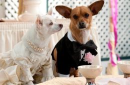 Крошка из Беверли-Хиллз 2