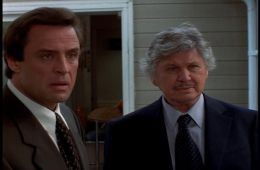 Семья полицейских 2