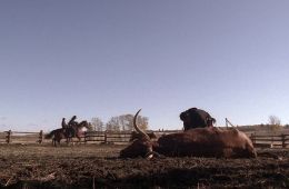 Похороните мое сердце в Вундед-Ни