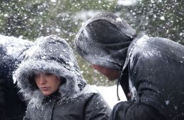 Монстр ледяных дорог