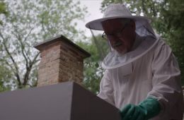 Чисто английские убийства