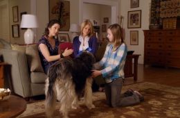 Щенячья любовь