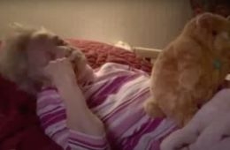 Проект Альцгеймера