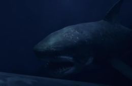 Мега-акула против Меха-акулы