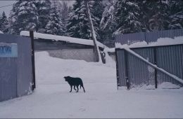 Кадр
