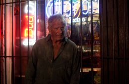 Зимняя Роза