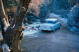 Все, что дозволено небесам