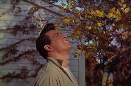 Все, что дозволено небесам