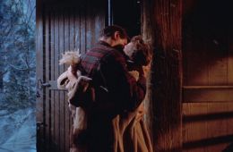 Все, что дозволено небесам