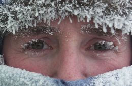 Антарктида: Год на льду