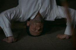 Замок в Карпатах