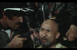 Кто находит друга, найдет и сокровище