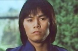 Два дивных тигра