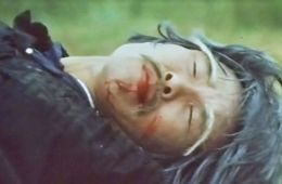 Два дивных тигра