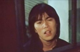 Два дивных тигра