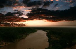 Вытащенный из воды