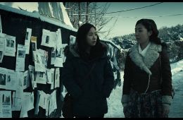 Кот: Глаза, которые видят смерть