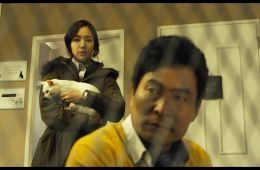 Кот: Глаза, которые видят смерть