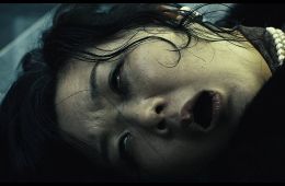 Кот: Глаза, которые видят смерть