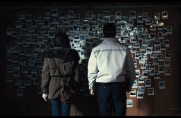 Кот: Глаза, которые видят смерть