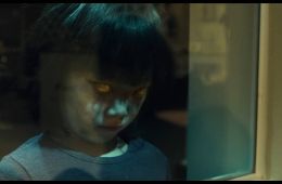 Кот: Глаза, которые видят смерть