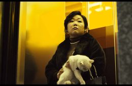 Кот: Глаза, которые видят смерть