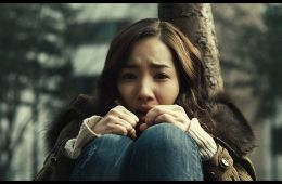 Кот: Глаза, которые видят смерть