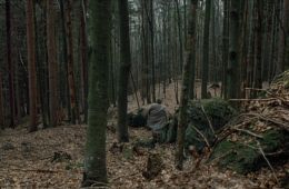 Стеклянное сердце