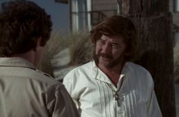 Жаркая неделя лета