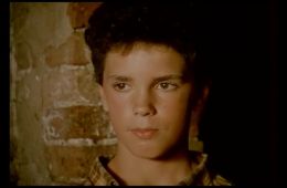 Аромат кукурузы