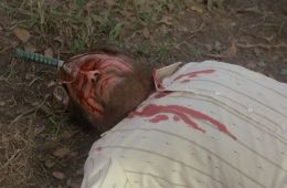 Зомби 5: Смертоносные птицы