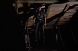 Зомби 5: Смертоносные птицы