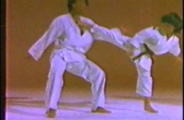 Мальчишки-кунгфуисты