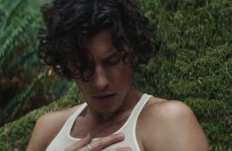 Shawn Mendes: Wonder