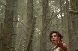 Shawn Mendes: Wonder