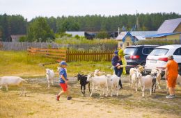 Фермеры