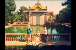 ШОК SHORTS-2