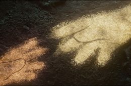 Звездные войны: Видения