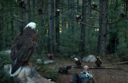 Миротворец