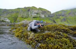 Курилы. Взгляд с воды