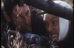 Про Красную Шапочку