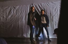 Детектив Вистинг