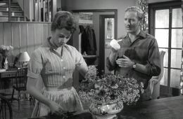 Без дураков