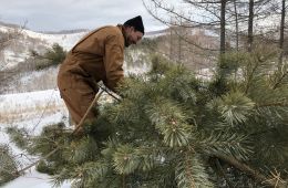 Земля больших возможностей