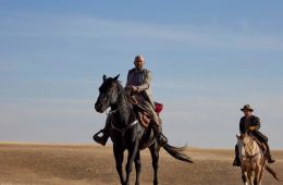 В поисках зверя