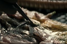 Чужой: Земля