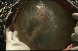 Чужой: Земля